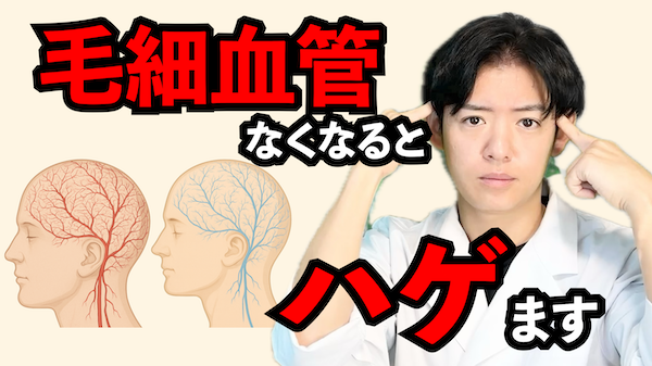 毛細血管は増やせる